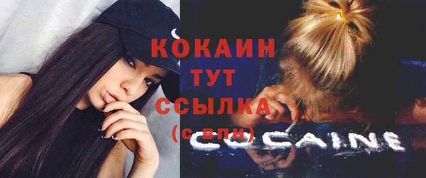 гидра Богородицк