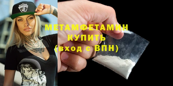 гидра Богородицк