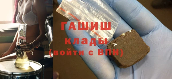 гидра Богородицк