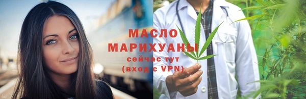 гидра Богородицк
