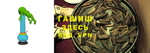 гидра Богородицк
