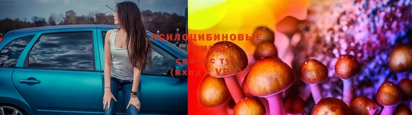 соль ск Богданович