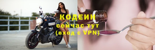 СК Богородск