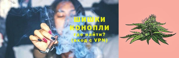 гидра Богородицк