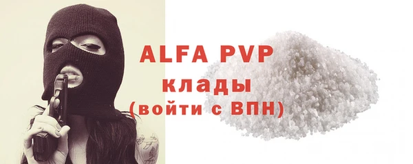 гидра Богородицк