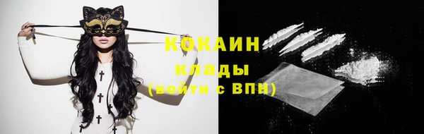 гидра Богородицк