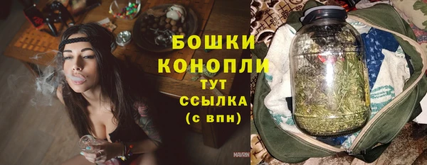 СК Богородск