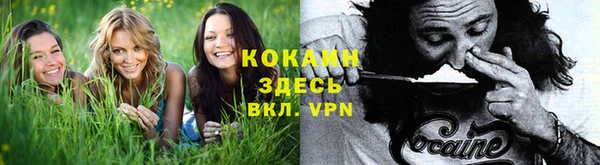 соль ск Богданович