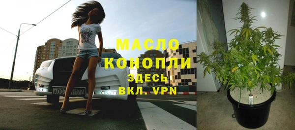 гидра Богородицк