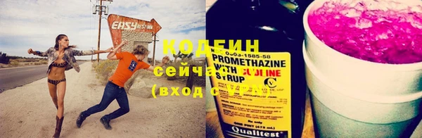 гидра Богородицк